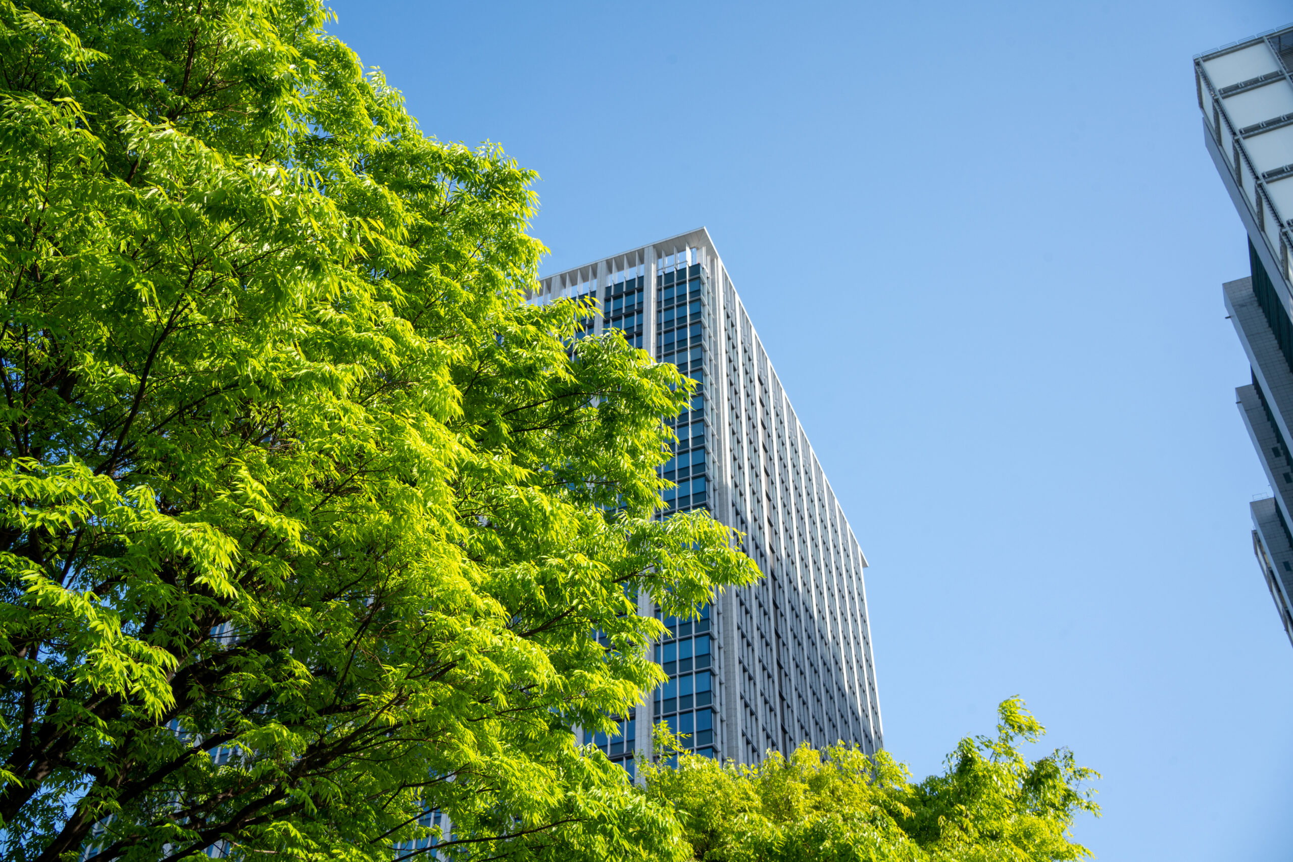 Building with blue skies and green trees