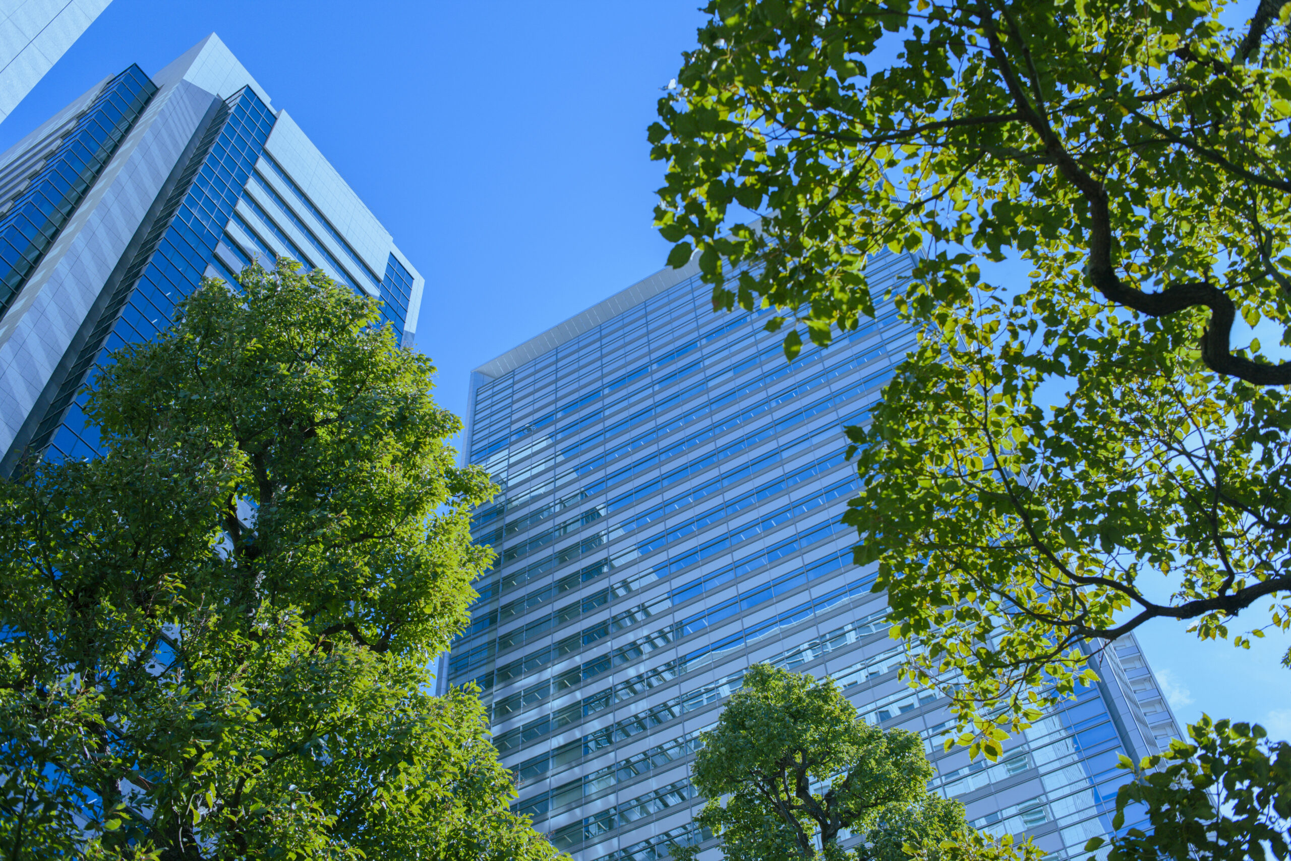Buildings with trees